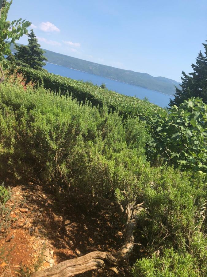 Holiday Home Sea View Brseč エクステリア 写真